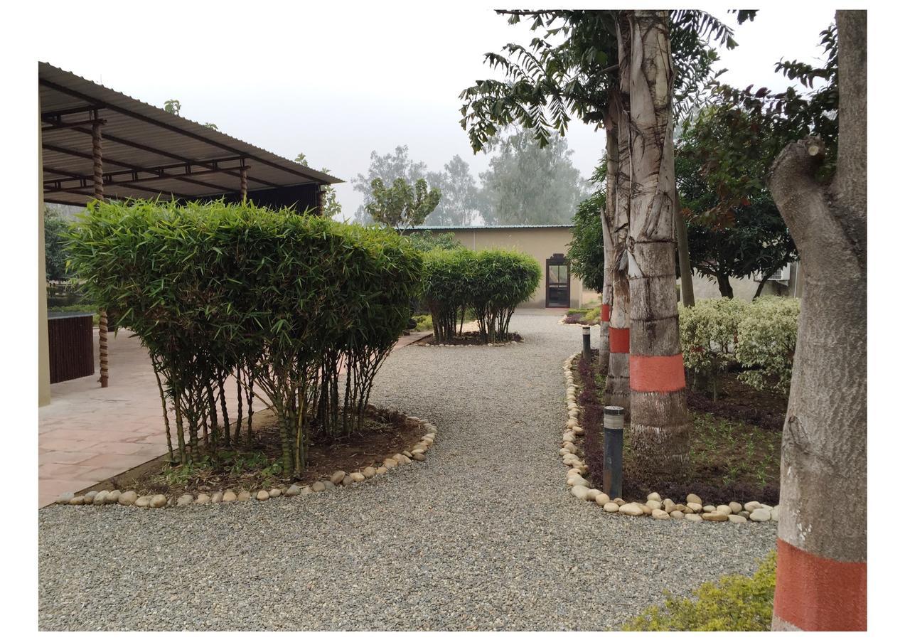 Dr. Sudha'S Ayurveda Hotel Muzaffarnagar Zewnętrze zdjęcie